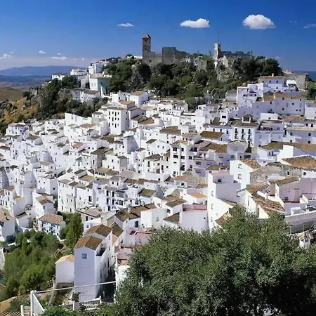Daire Luxurious Close To Puerto Banus