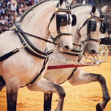 Luxurious Close To Puerto Banus Estepona