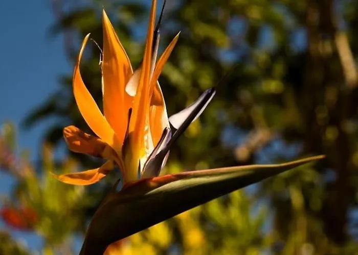 Luxurious Close To Puerto Banus Lägenhet