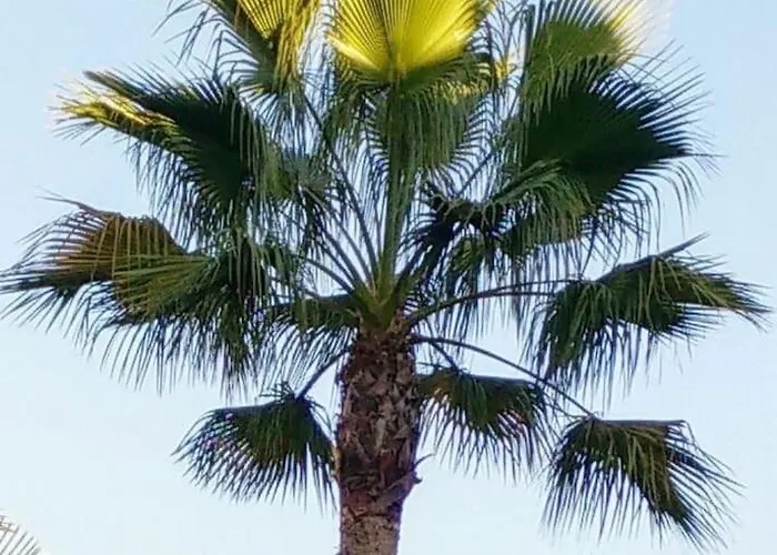 Luxurious Close To Puerto Banus