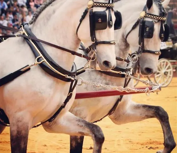 Luxurious Close To Puerto Banus Estepona