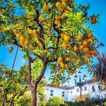 Luxurious Close To Puerto Banus