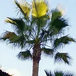 Luxurious Close To Puerto Banus