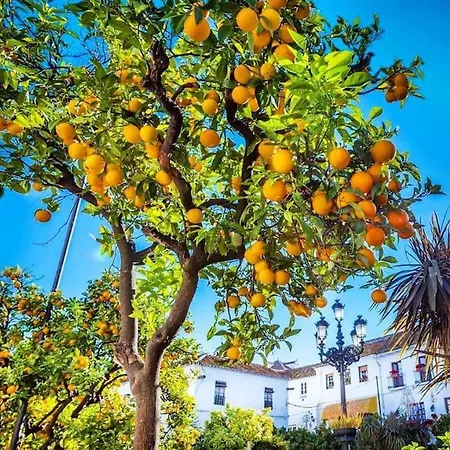 Luxurious Close To Puerto Banus