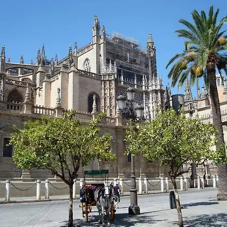 Lägenhet Luxurious Close To Puerto Banus